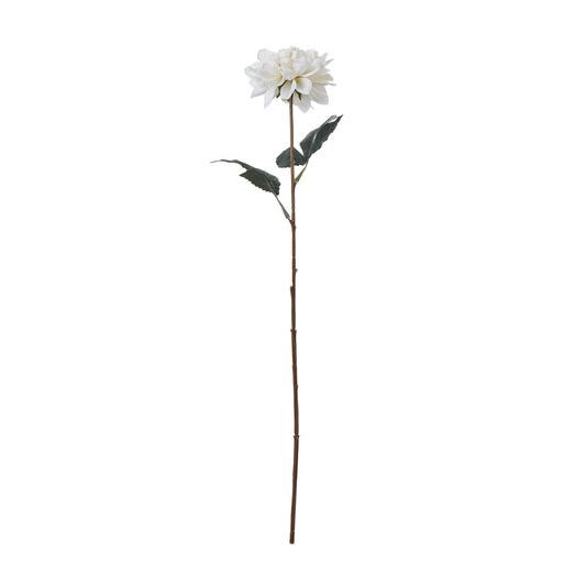 The Natural Garden Collection Tall White Dahlia image 0