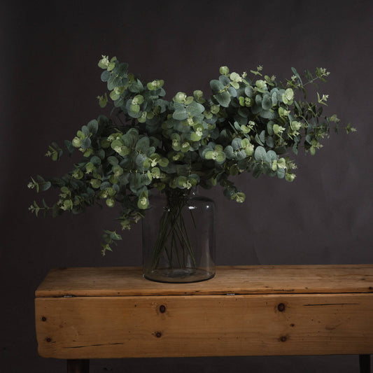 Eucalyptus Spray image 0