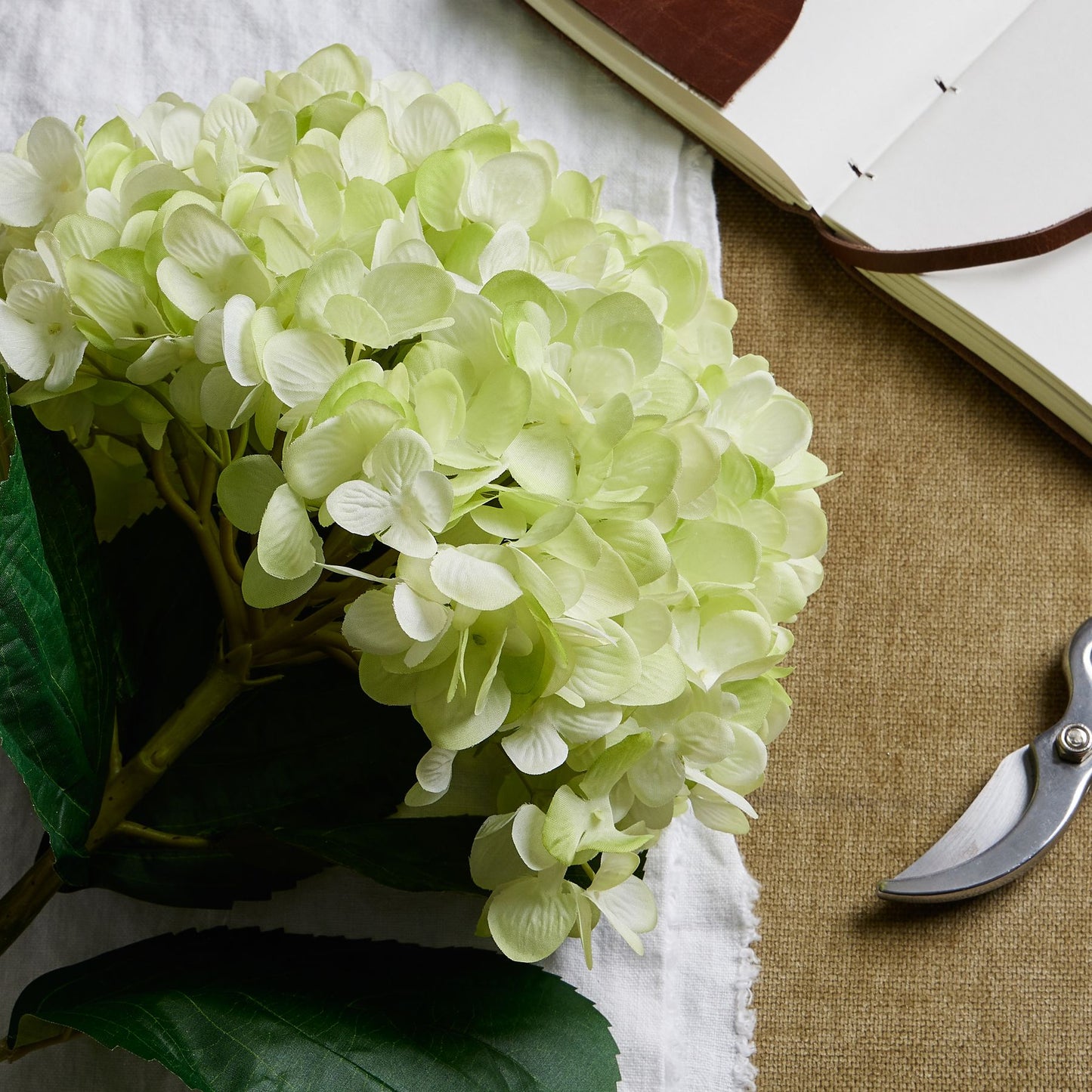 Oversized Green Hydrangea image 1