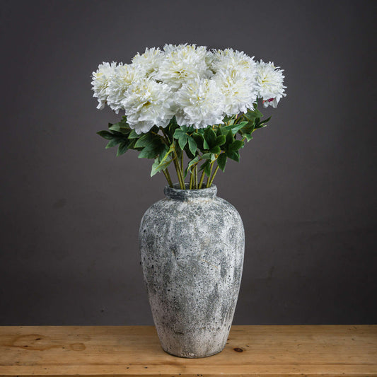 Classic White Peony image 0