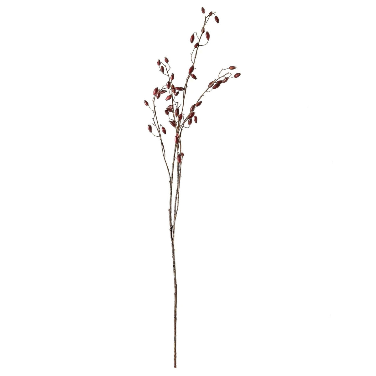 Burgundy Rosehip Stem image 2