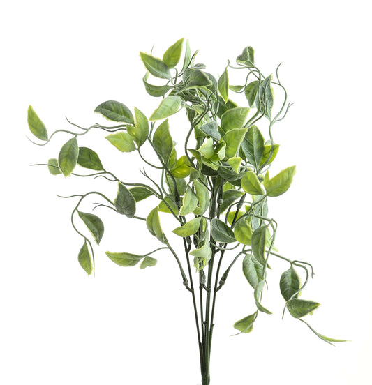 Green Shoots Greenery Bunch image 0
