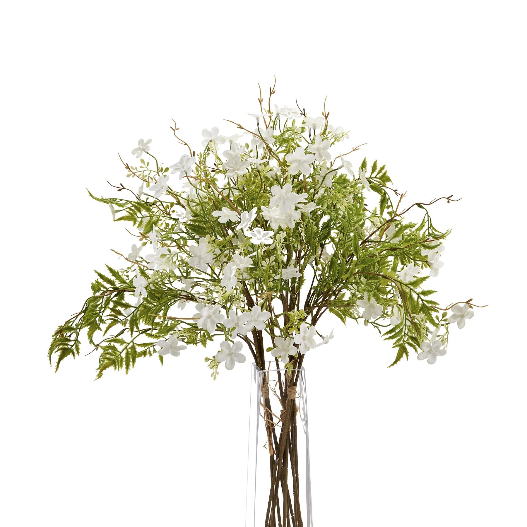 Italian White Bellflower image 4