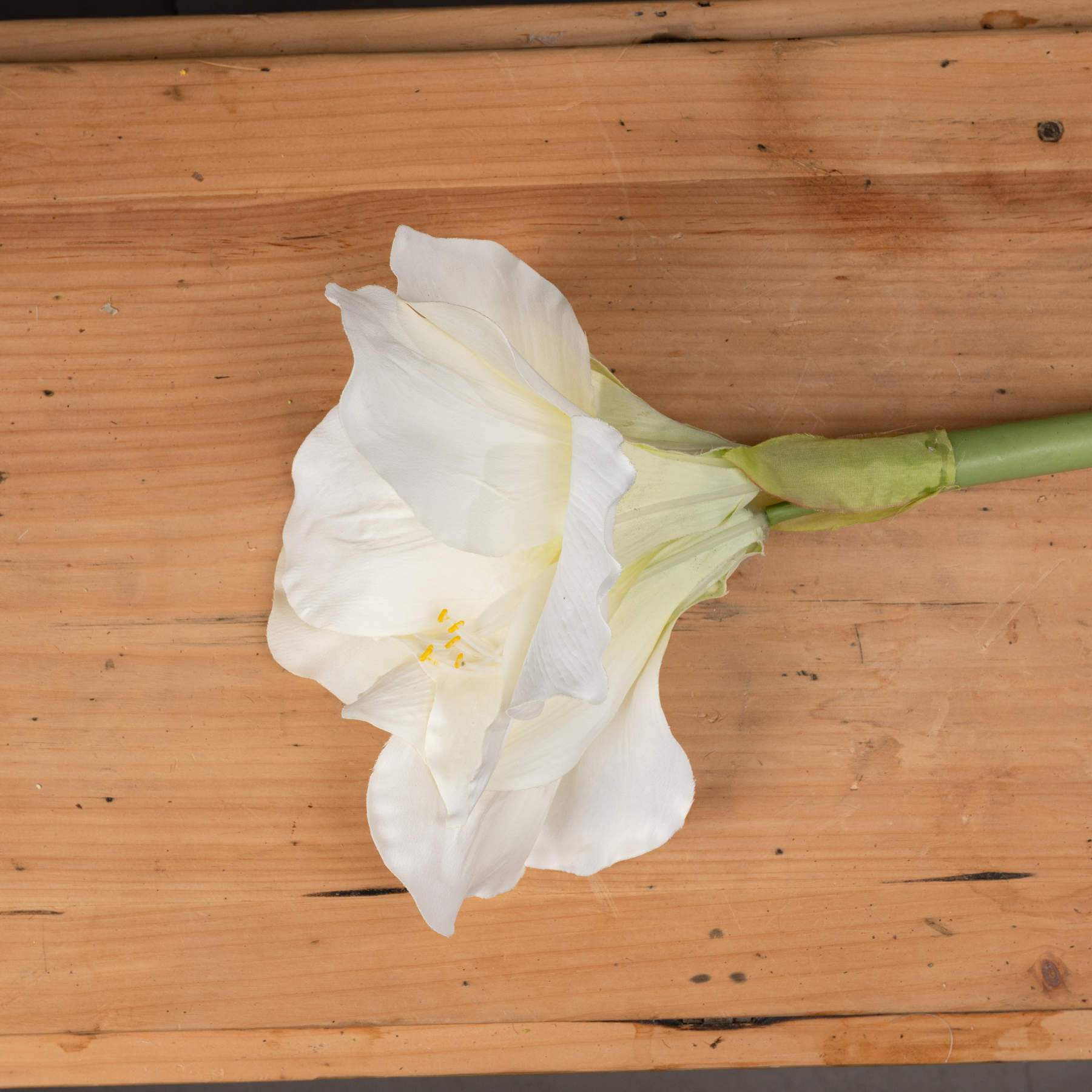 Classic White Amaryllis Flower image 1