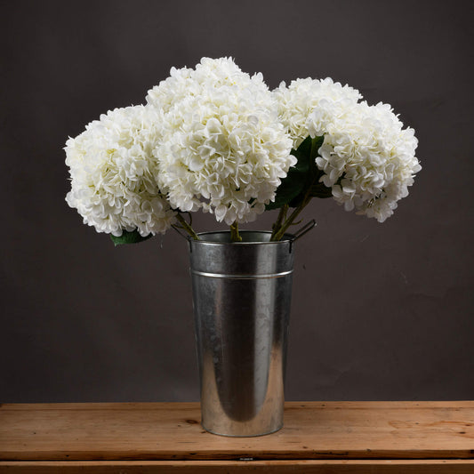 Oversized White Hydrangea image 0