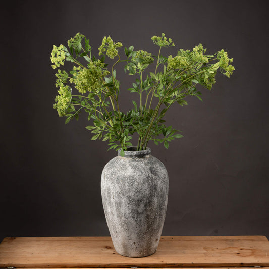 Faux Cow Parsley Ammi image 0