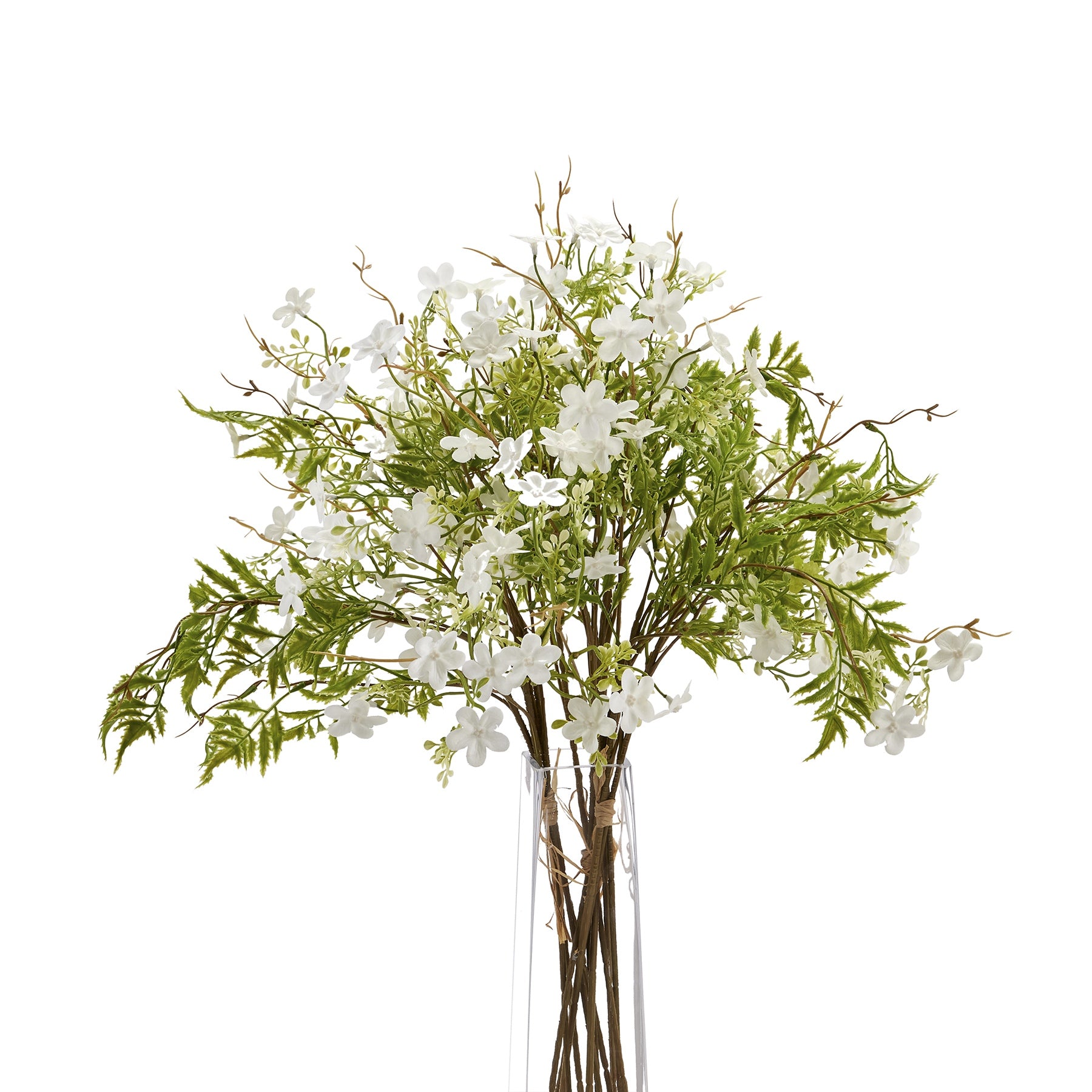 Italian White Bellflower image 0