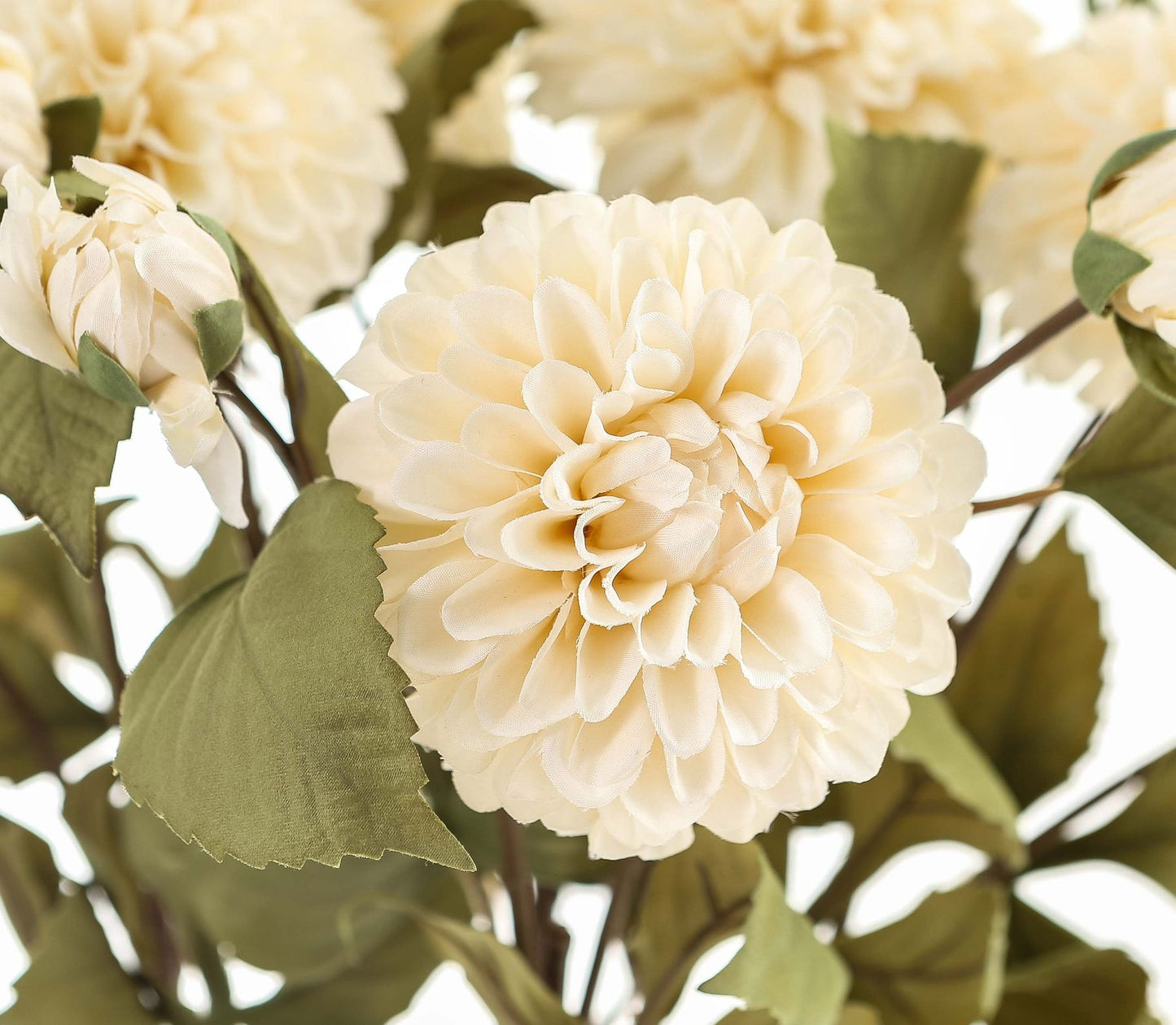 White Dahlia Stem image 2