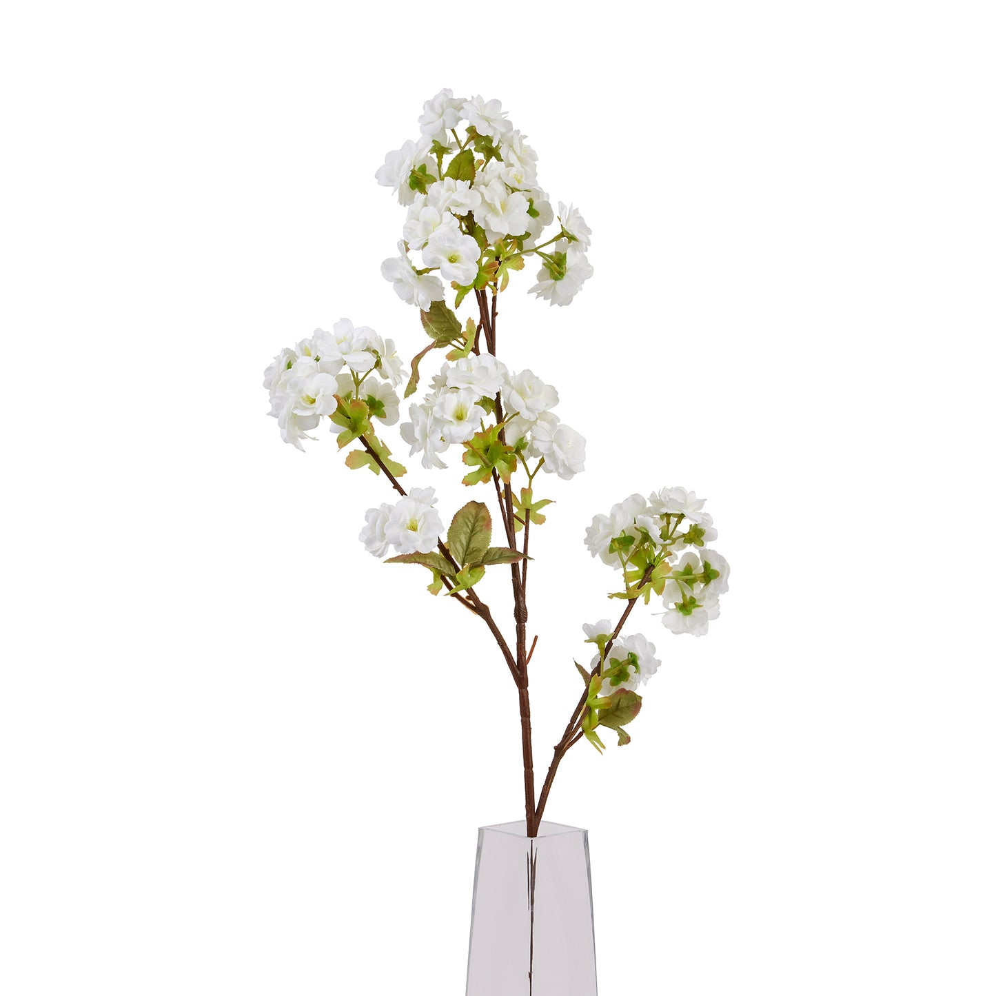 Tall White Blossom image 0