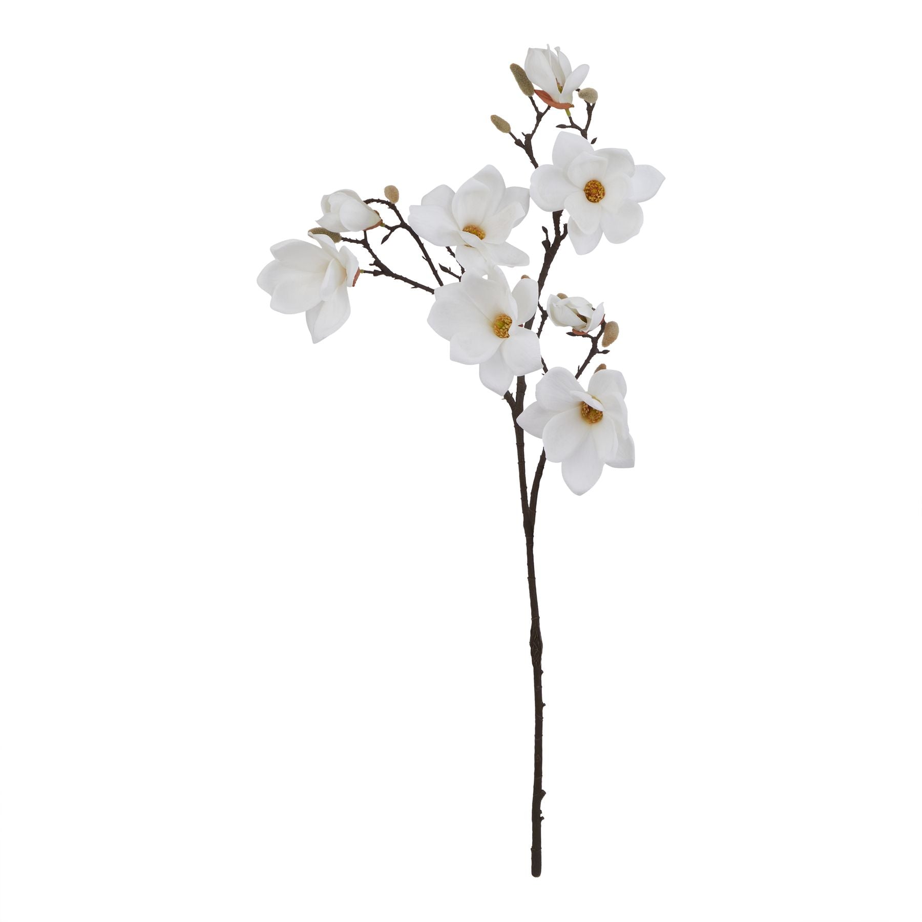 The Natural Garden Collection White Magnolia Stem image 0