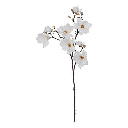 The Natural Garden Collection White Magnolia Stem image 0
