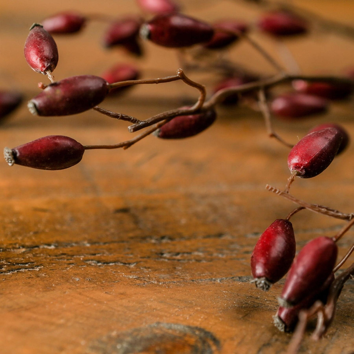 Burgundy Rosehip Stem image 1