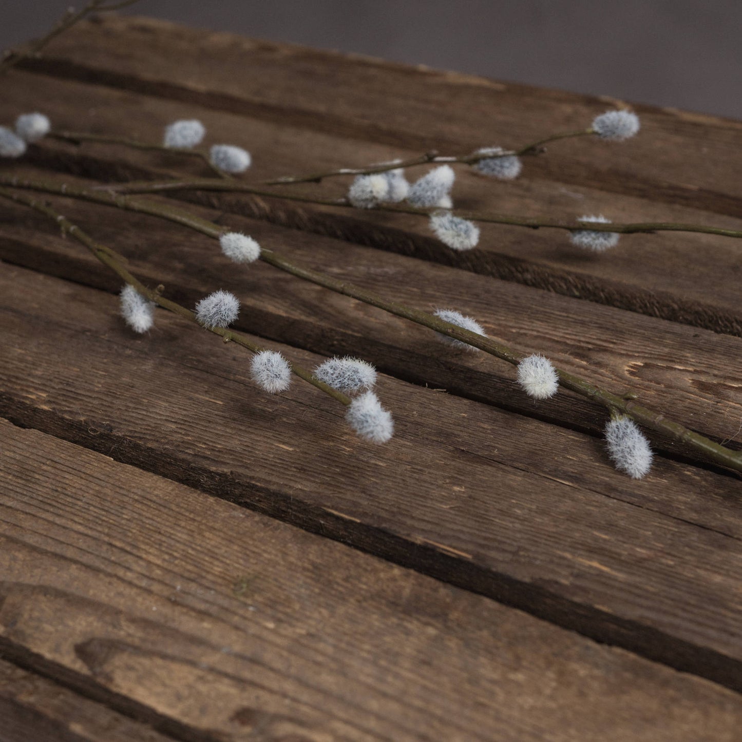 Pussy Willow Branch image 2