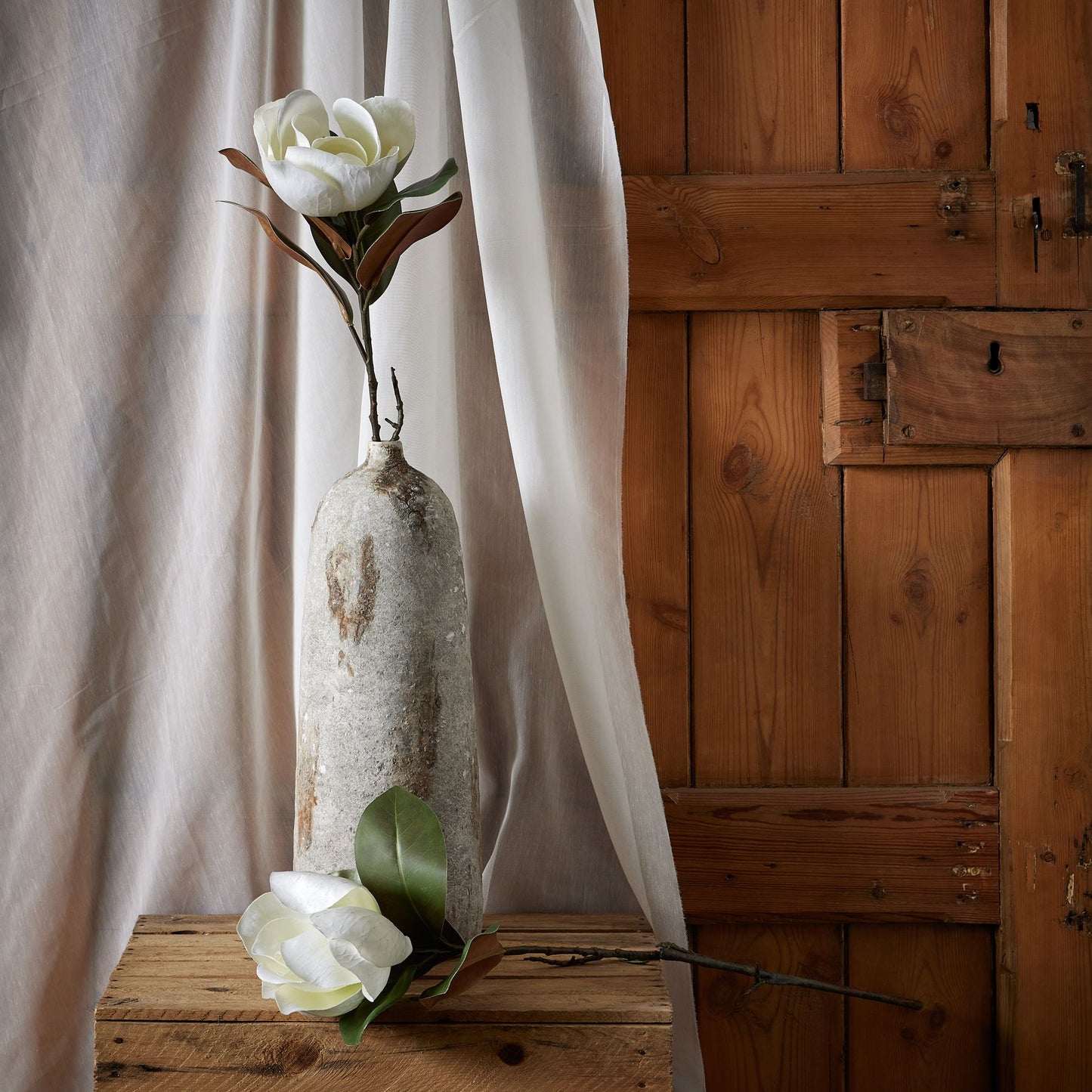 White Magnolia Stem image 2