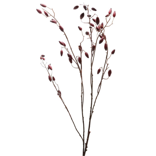 Burgundy Rosehip Stem image 3
