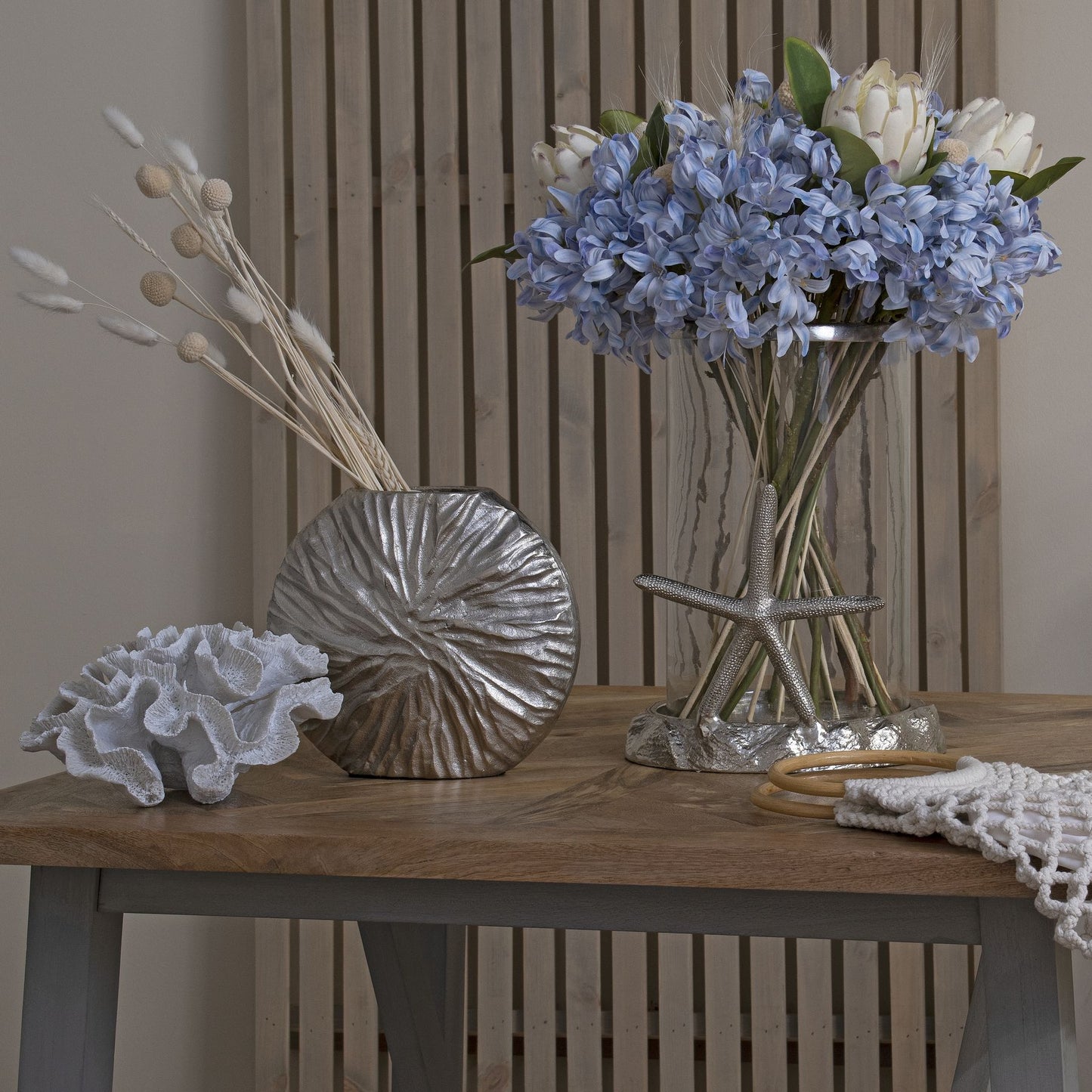 Light Blue Large Headed Agapanthus image 4