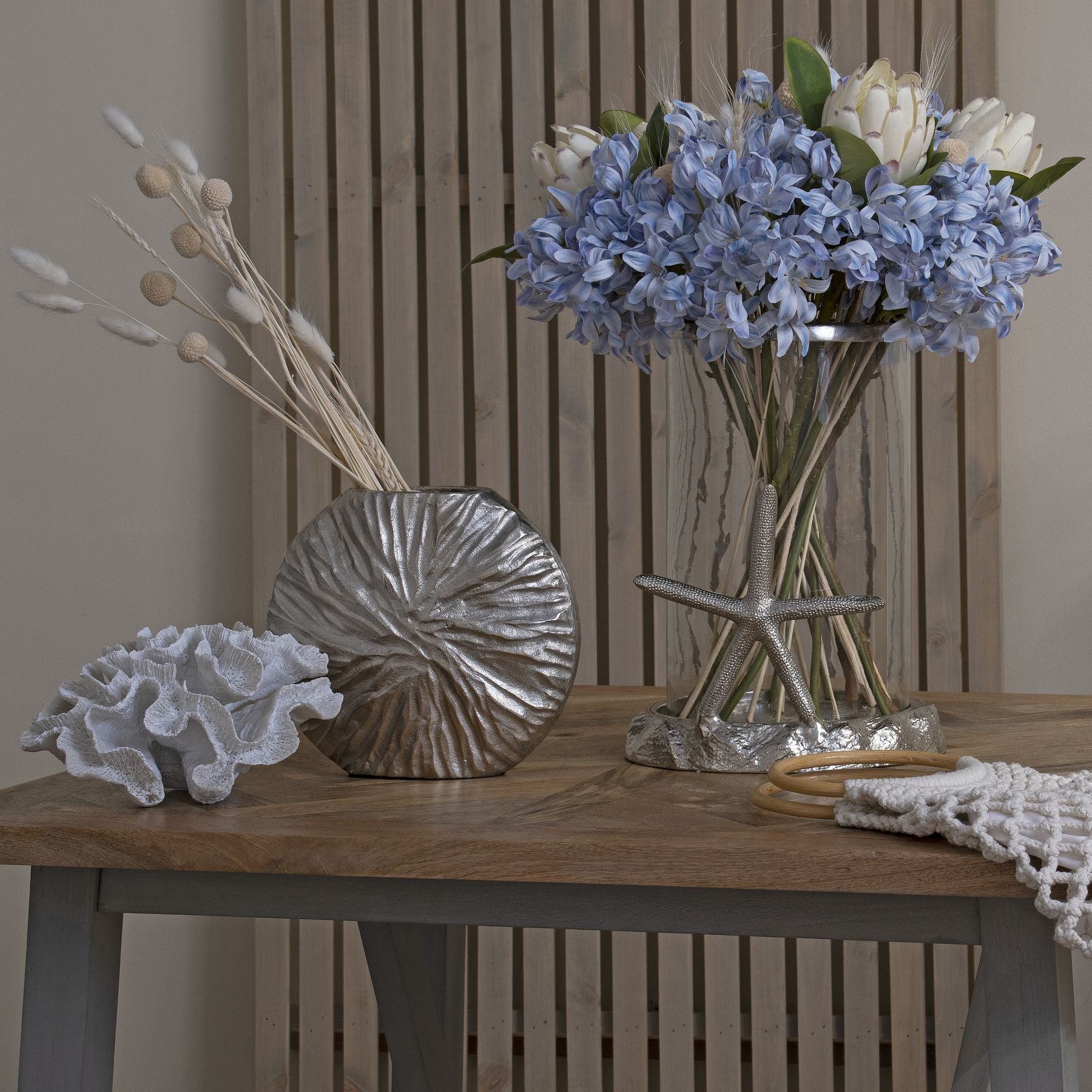 Light Blue Large Headed Agapanthus image 4