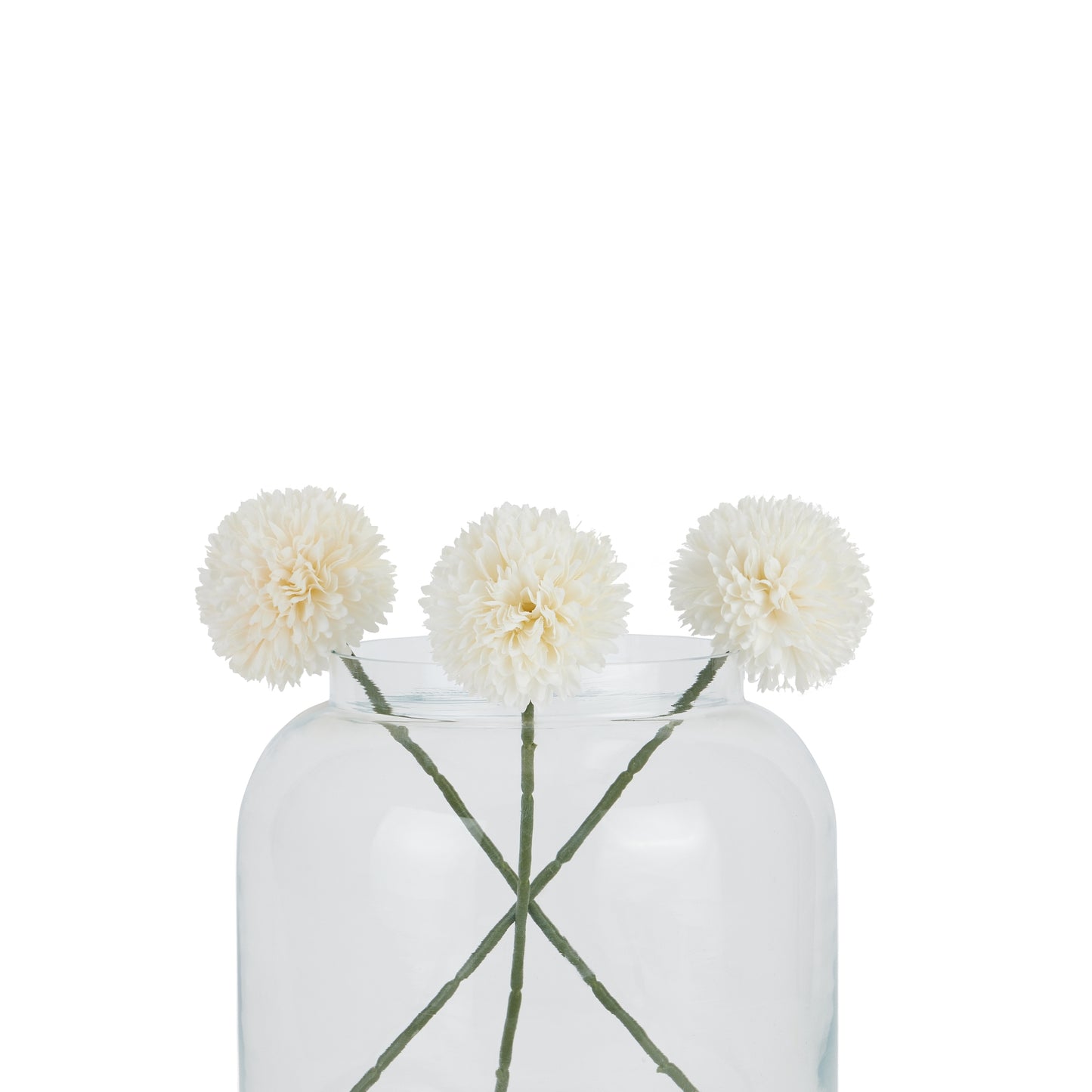 White Short Chrysanthemum image 3