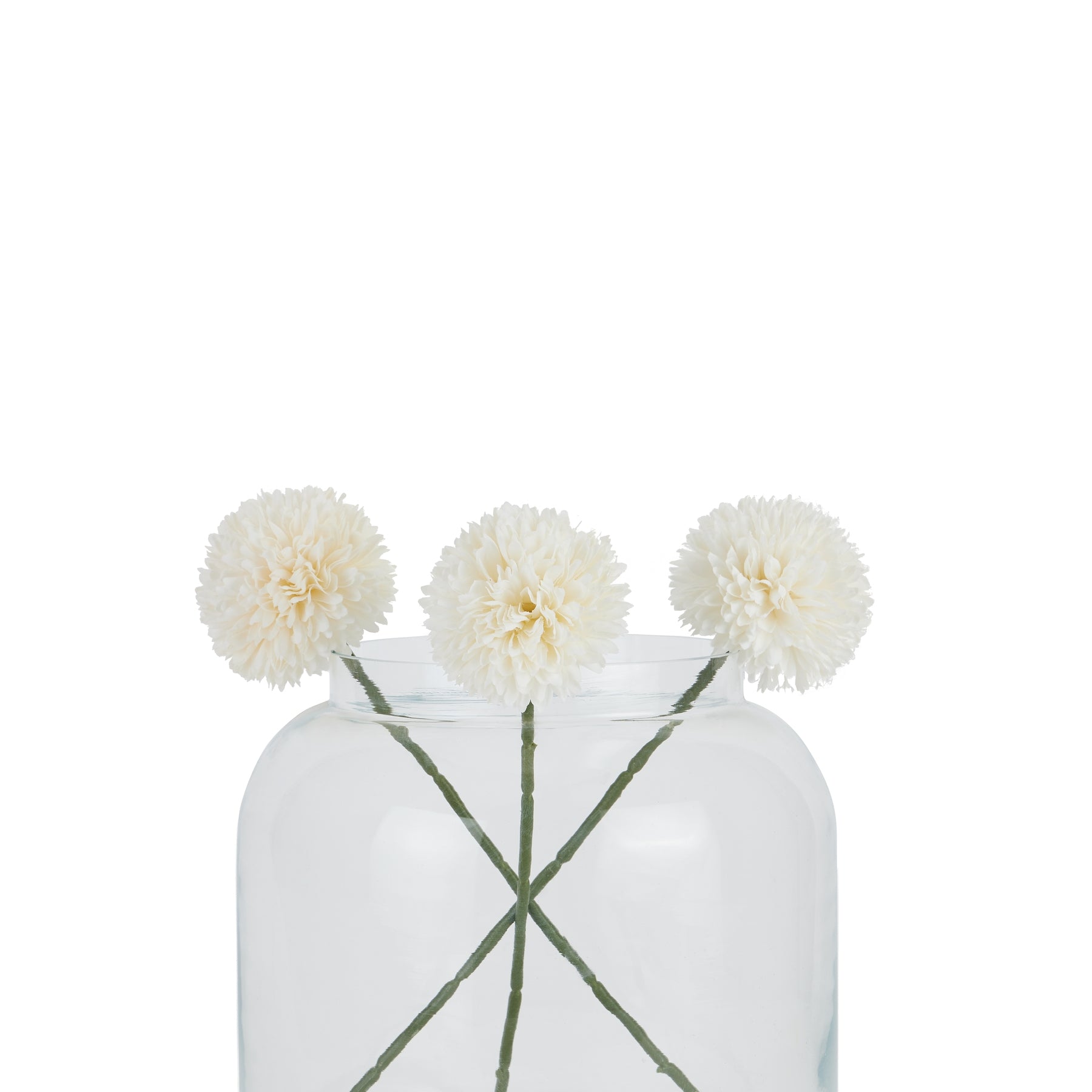 White Short Chrysanthemum image 3
