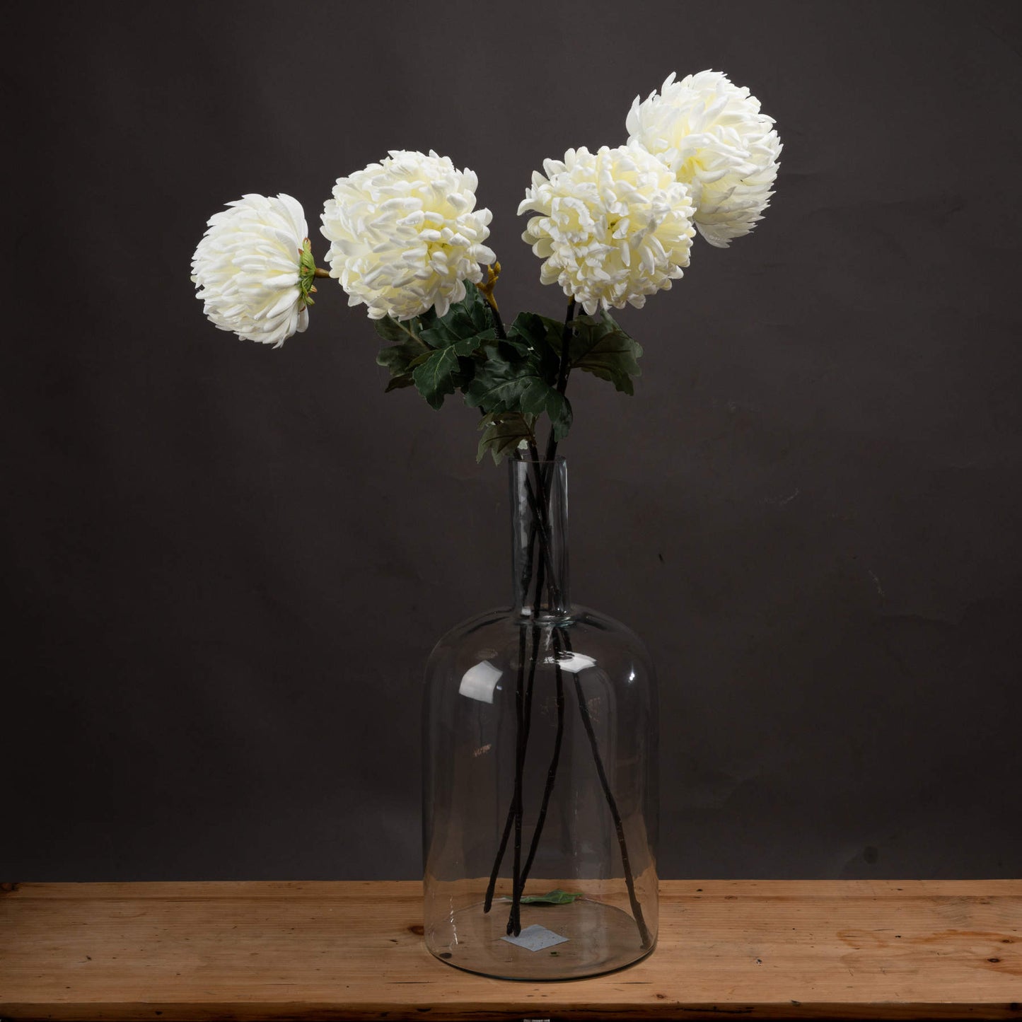 Large White Chrysanthemum image 0