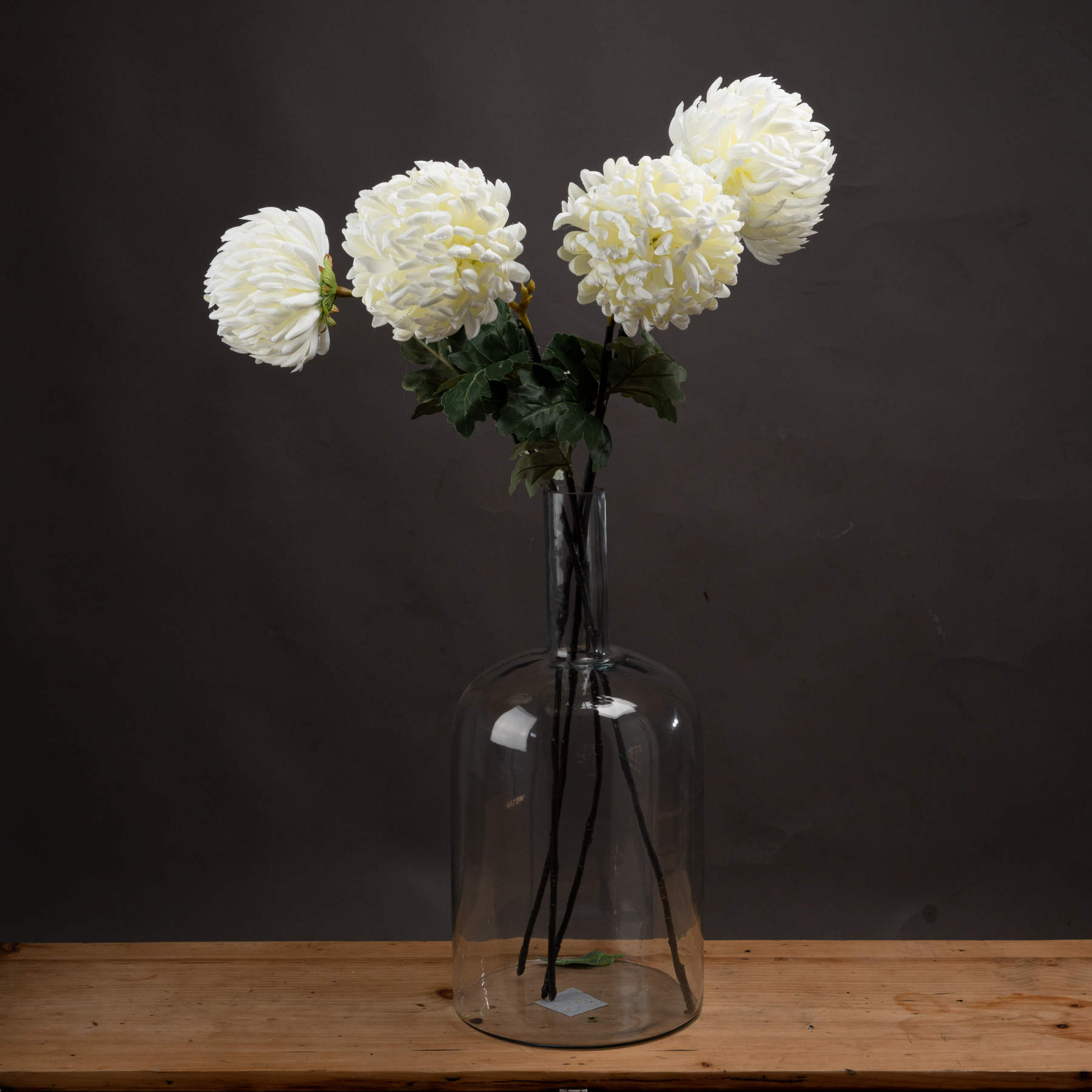Large White Chrysanthemum image 0