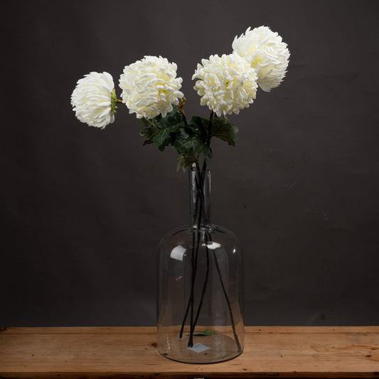 Large White Chrysanthemum image 0