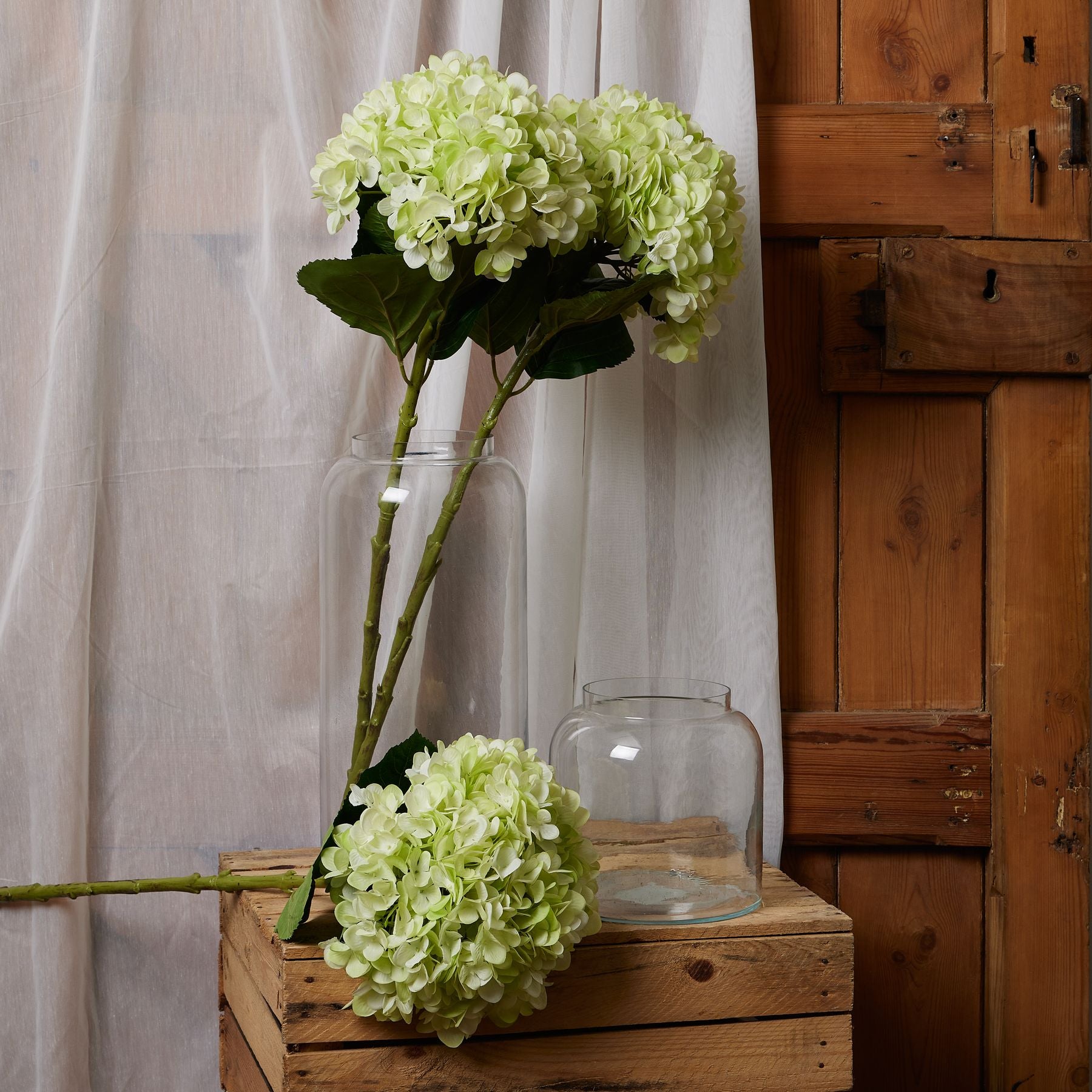 Oversized Green Hydrangea image 2