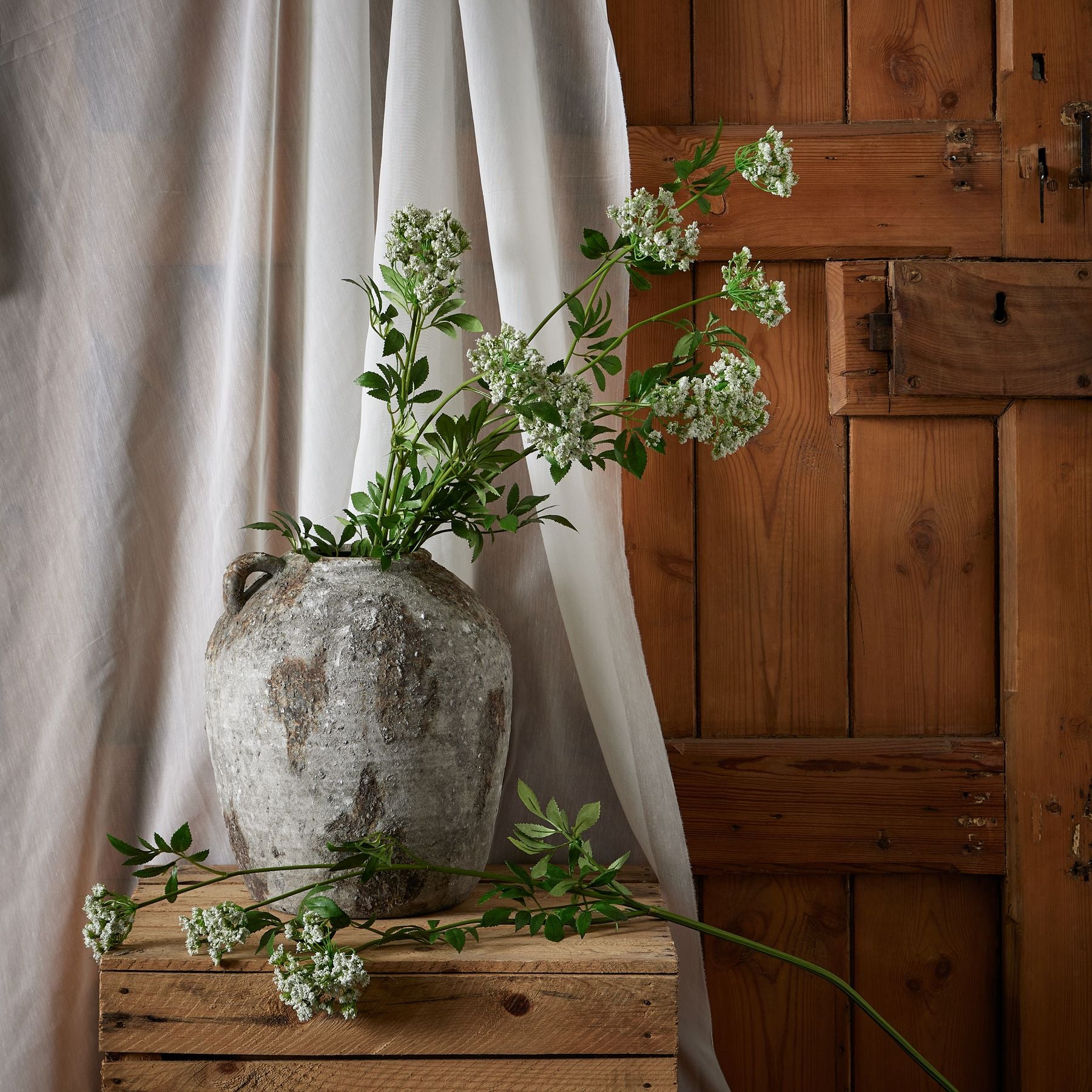 Faux White Cow Parsley Ammi image 2