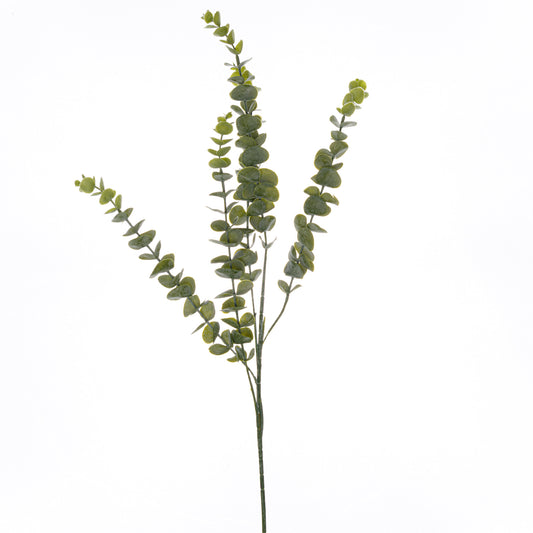 Gunnii Eucalyptus Spray image 0