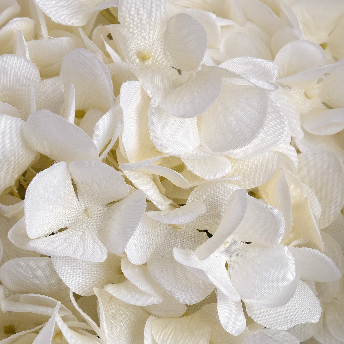 Oversized White Hydrangea image 4