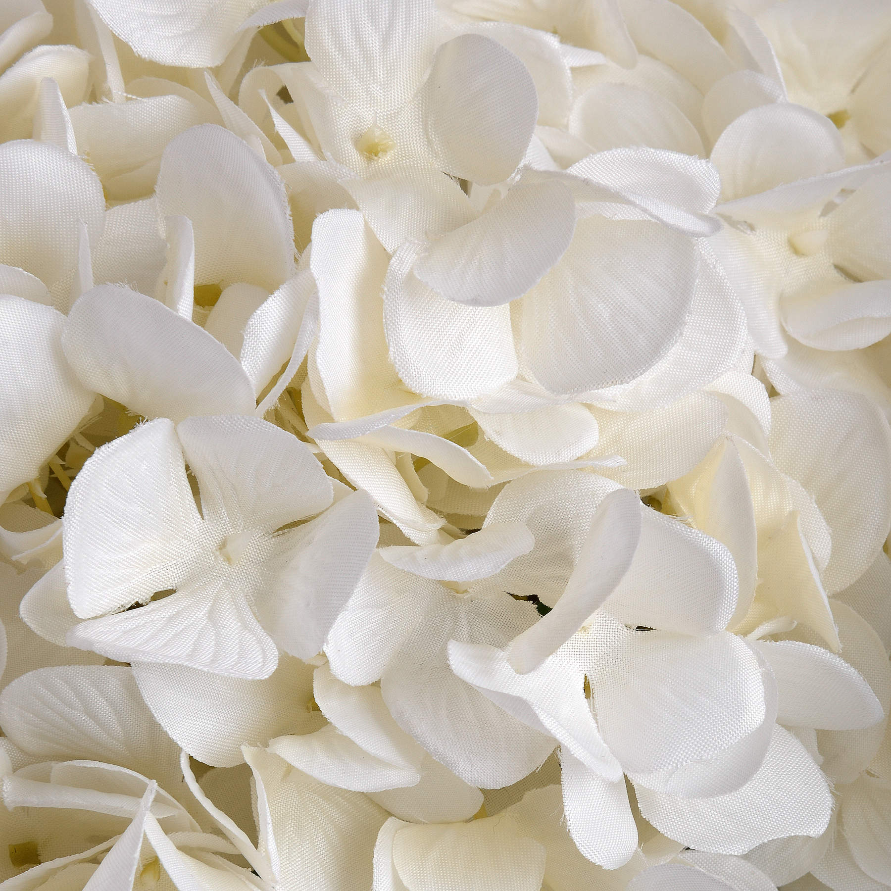 Oversized White Hydrangea image 4