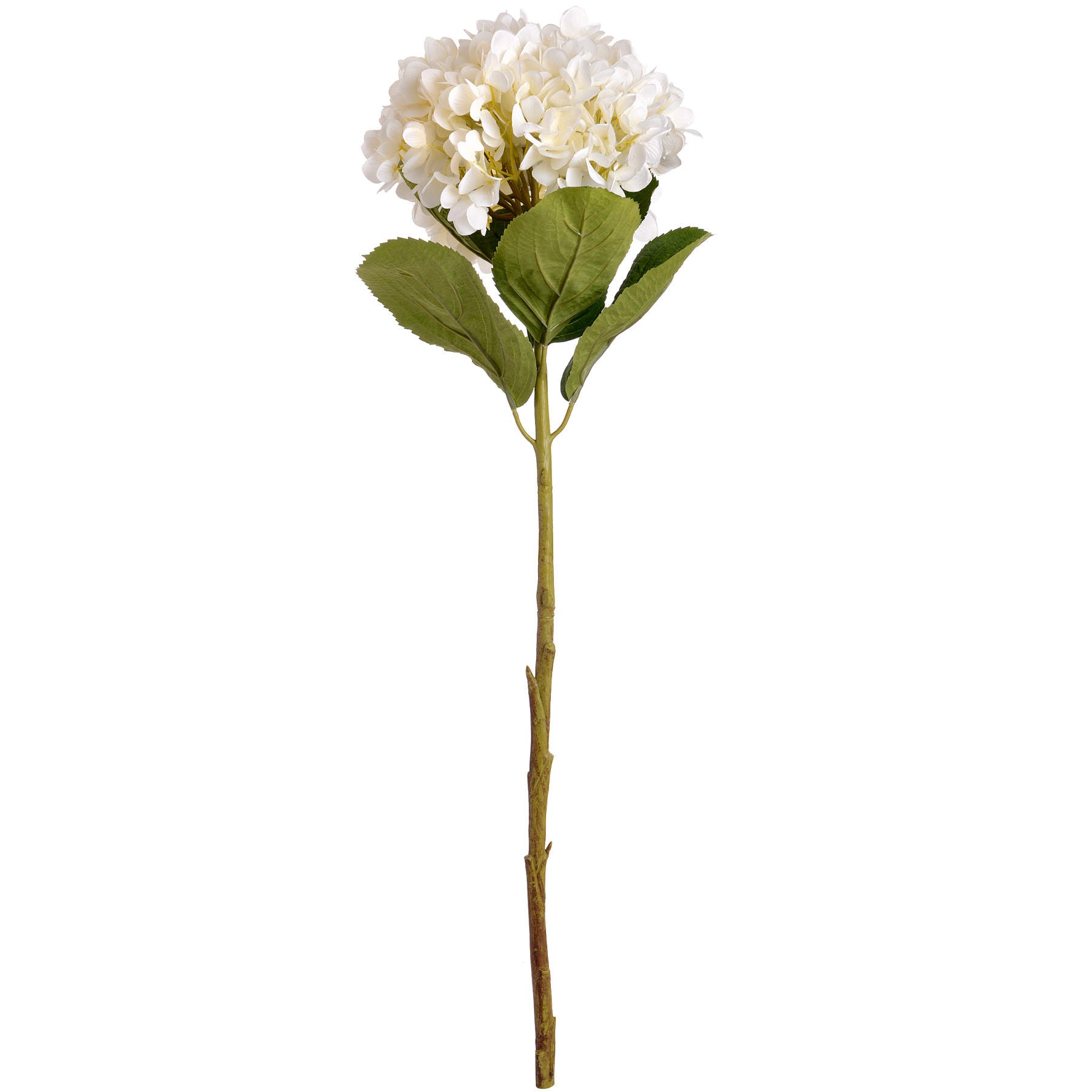 Oversized White Hydrangea image 3