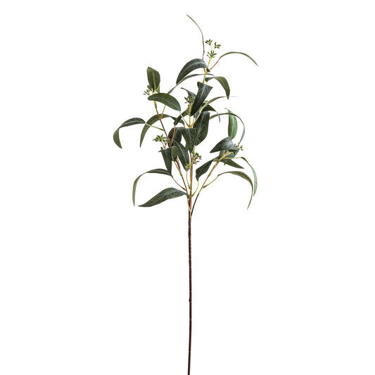 Seeded Eucalyptus Spray image 0