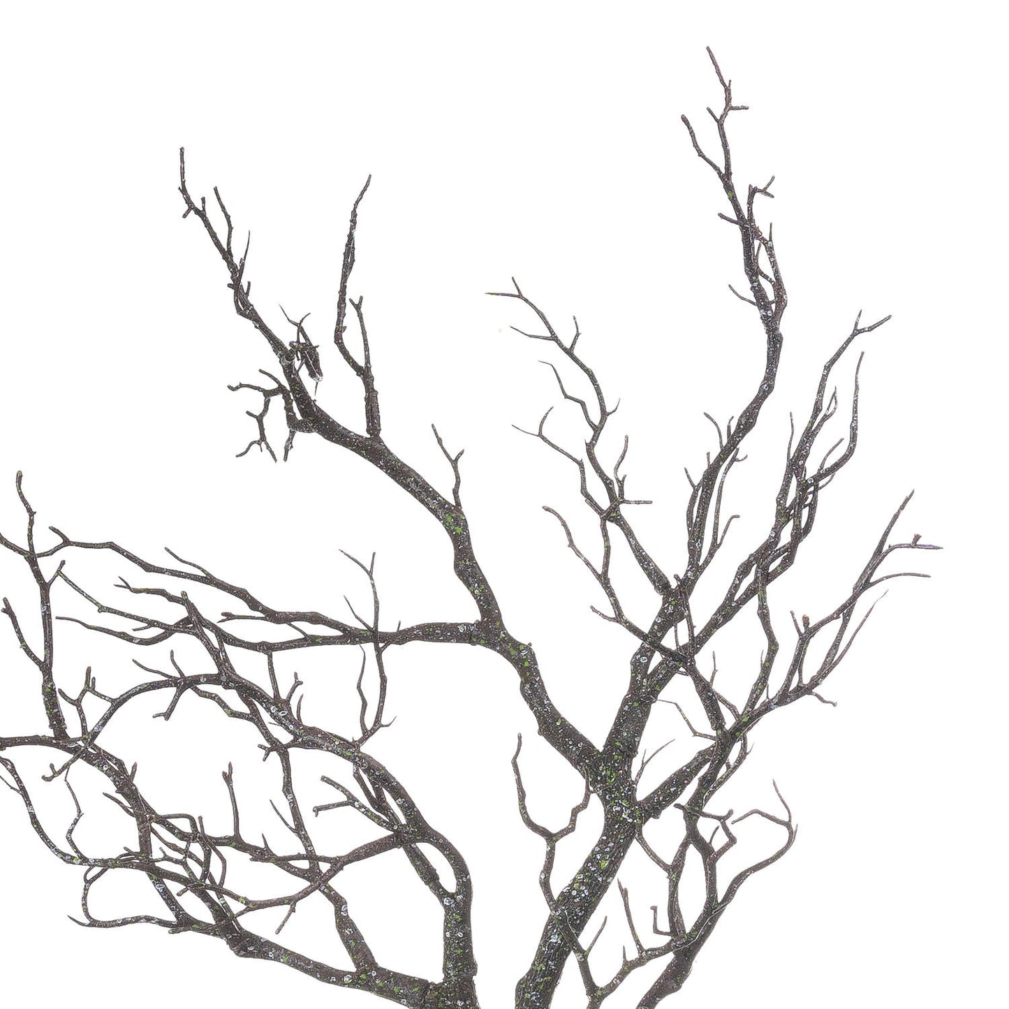 Large Branch Spray image 2