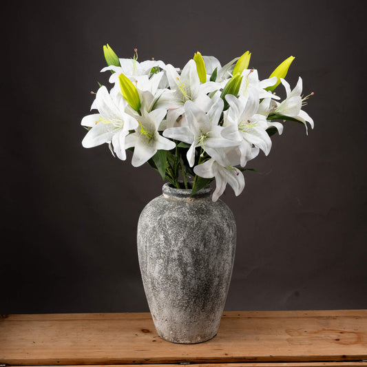 White Lily image 0
