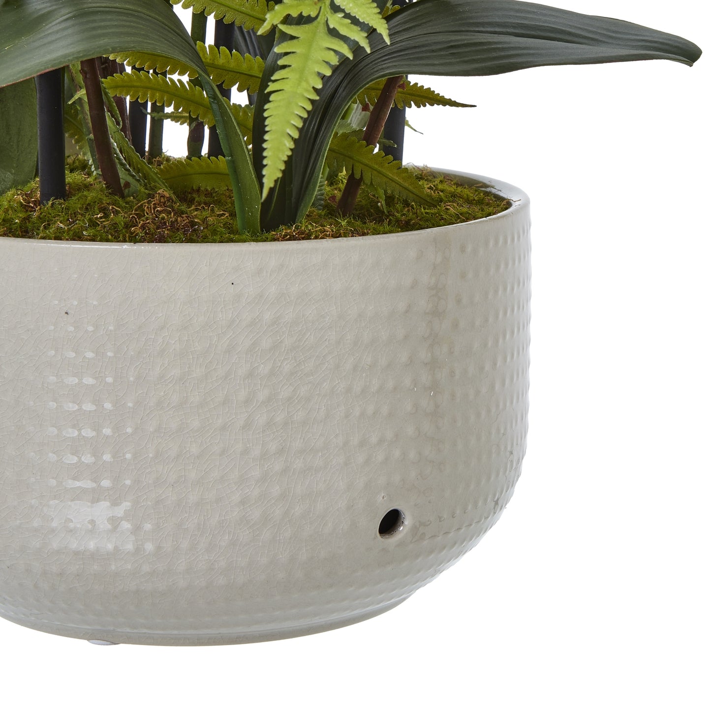 Large White Orchid In Ceramic Pot image 3