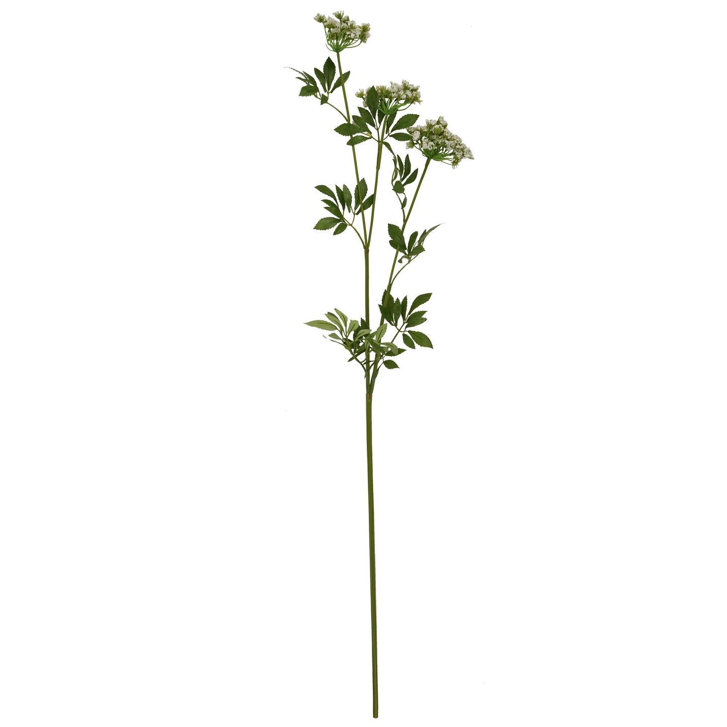 Faux White Cow Parsley Ammi image 3