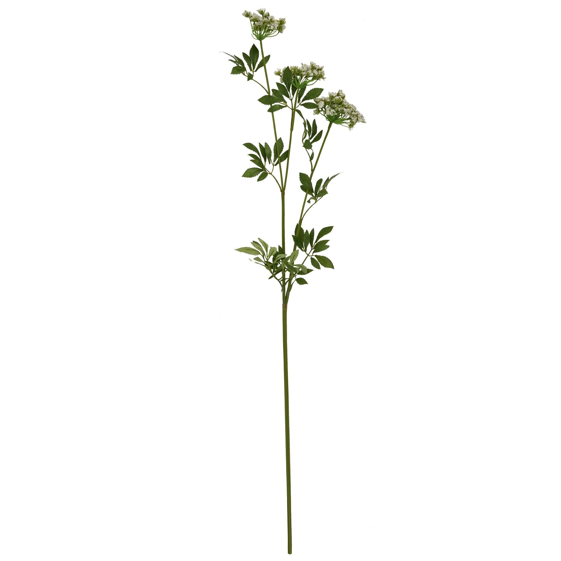 Faux White Cow Parsley Ammi image 3