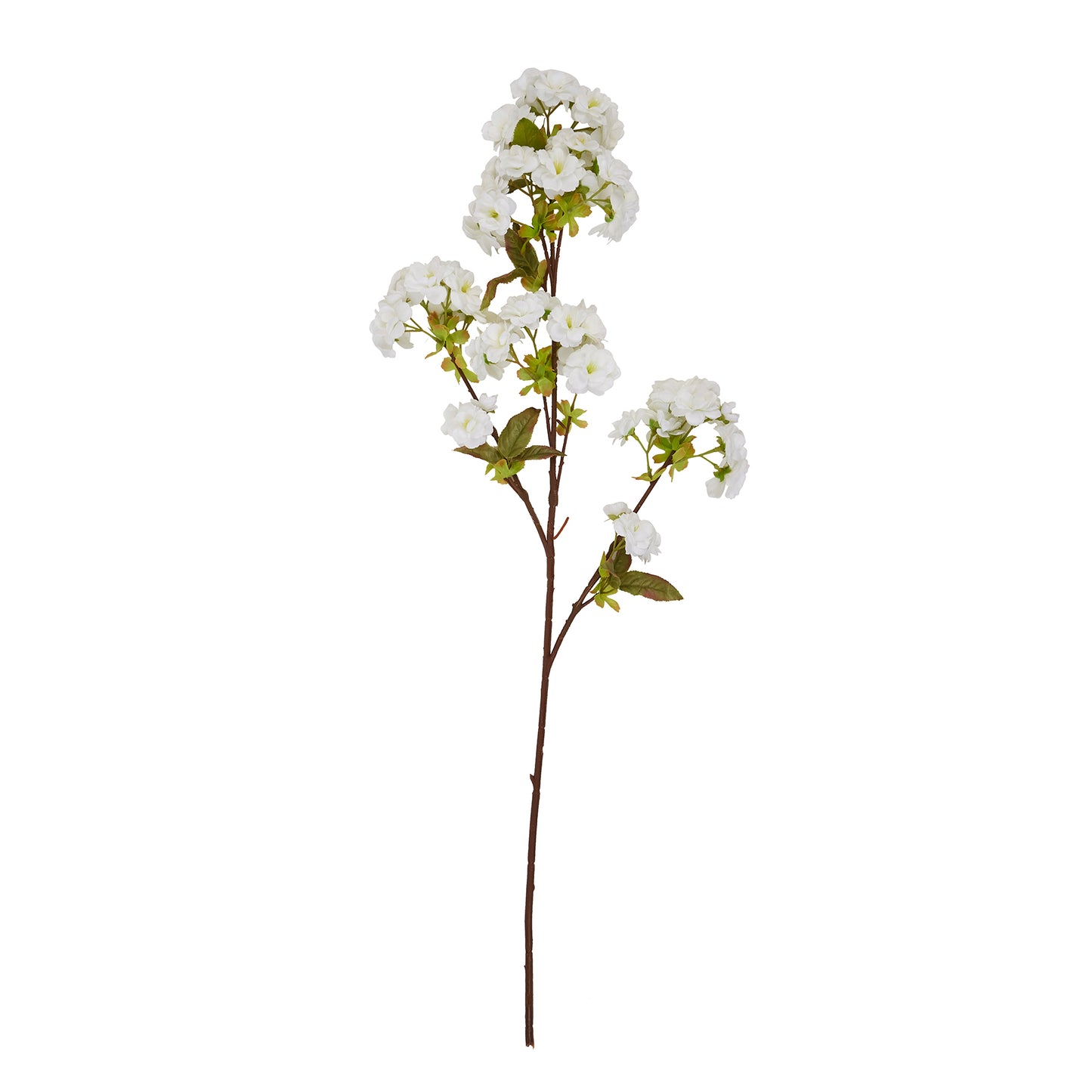 Tall White Blossom image 1
