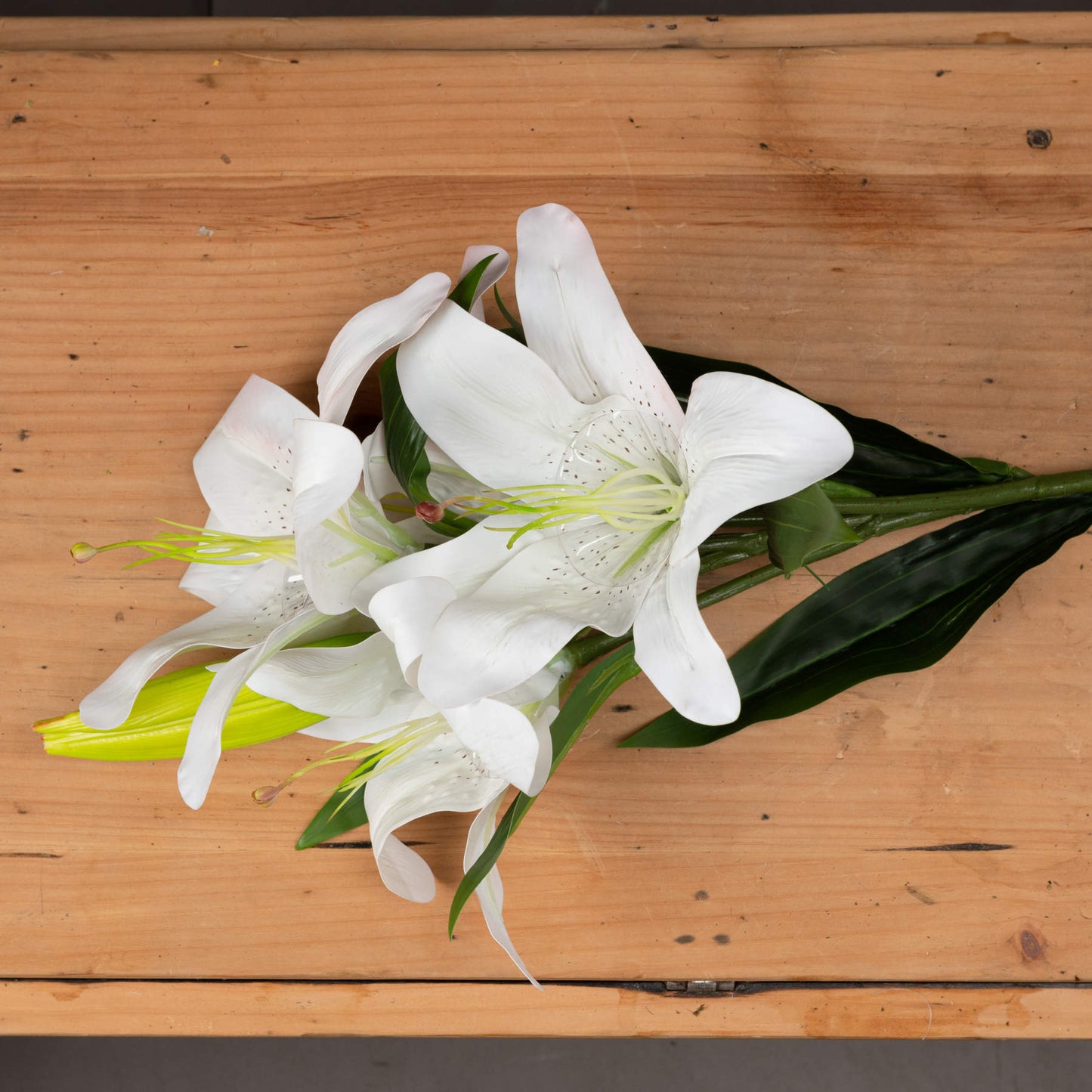 White Lily image 1