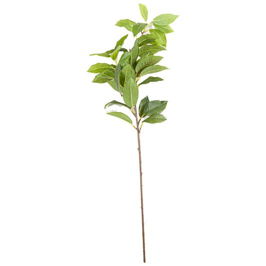 Laurel Leaf Spray image 0