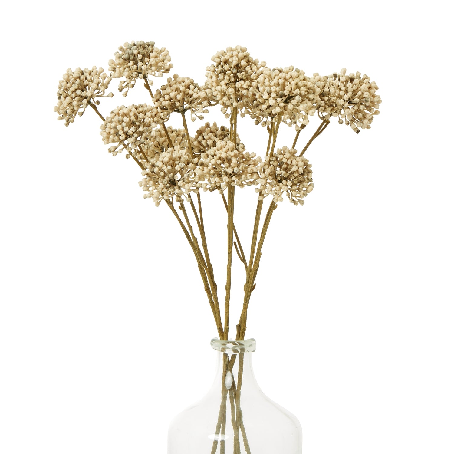 Brown Allium Spray image 2