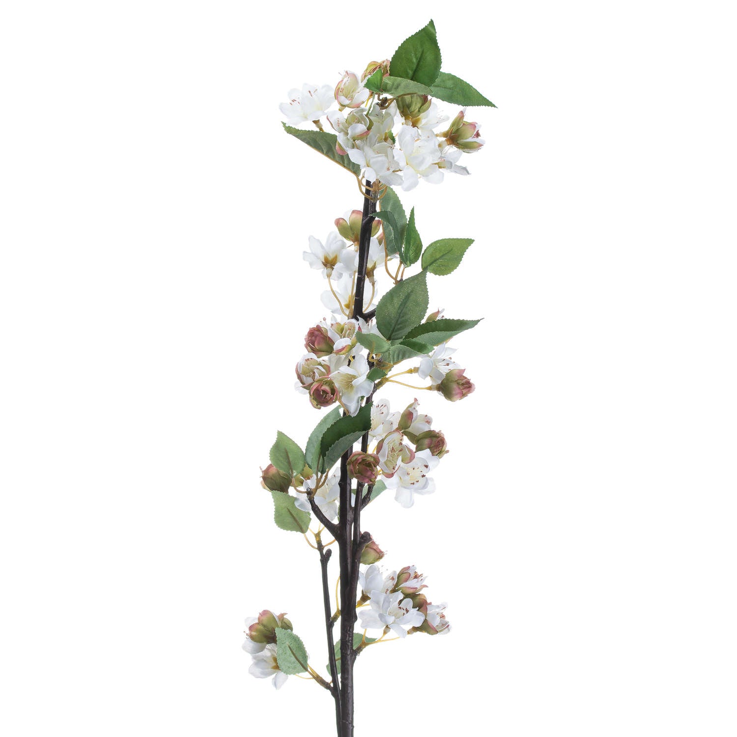 English Blossom Branch image 2