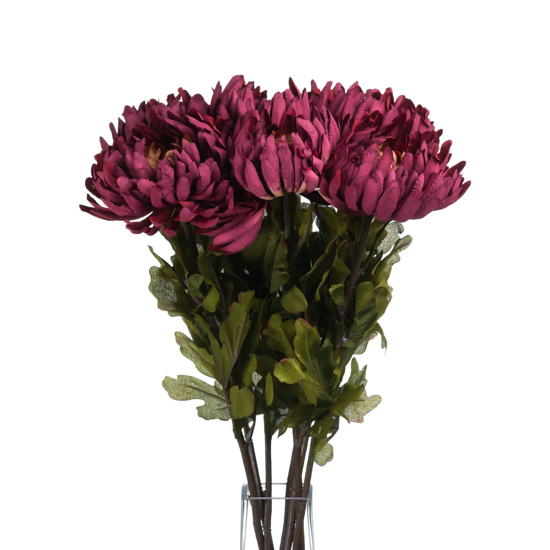 Bouquet of pink flowers with green leaves on a white background