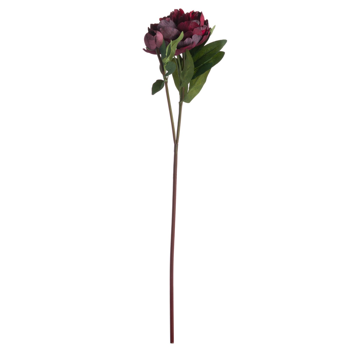 Artificial flower stem with a dark red bloom on a white background