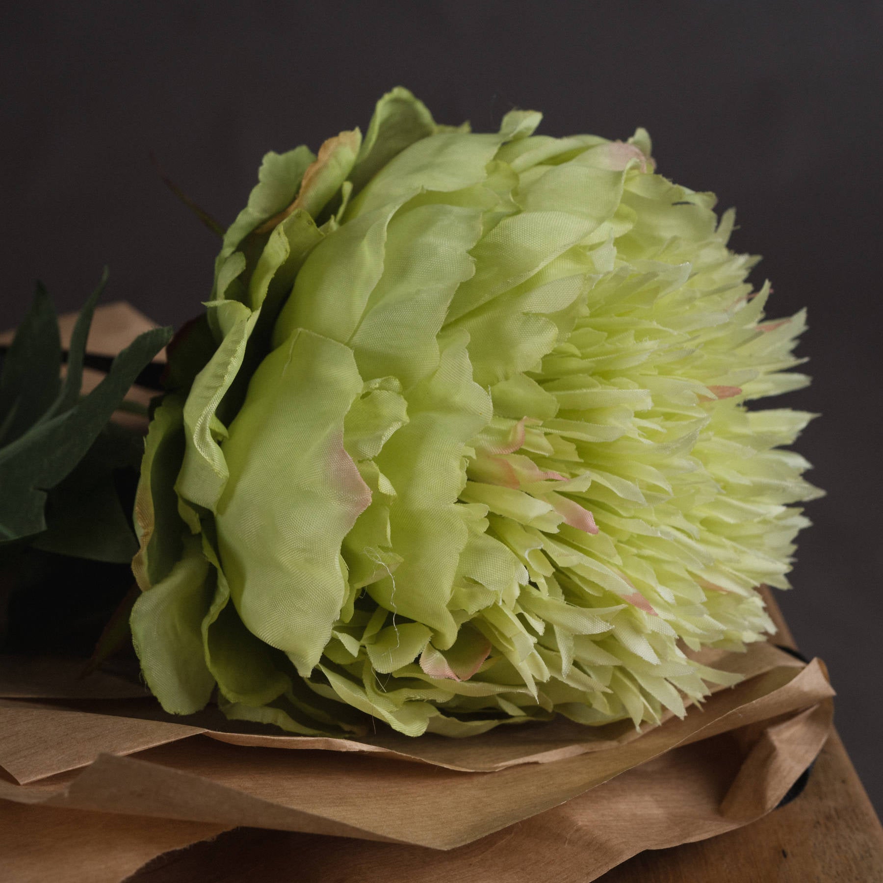Light green peony flower on brown paper against a dark background