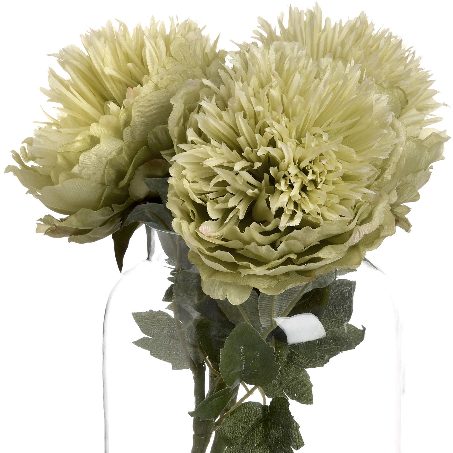 Light green flowers in a clear vase on a white background