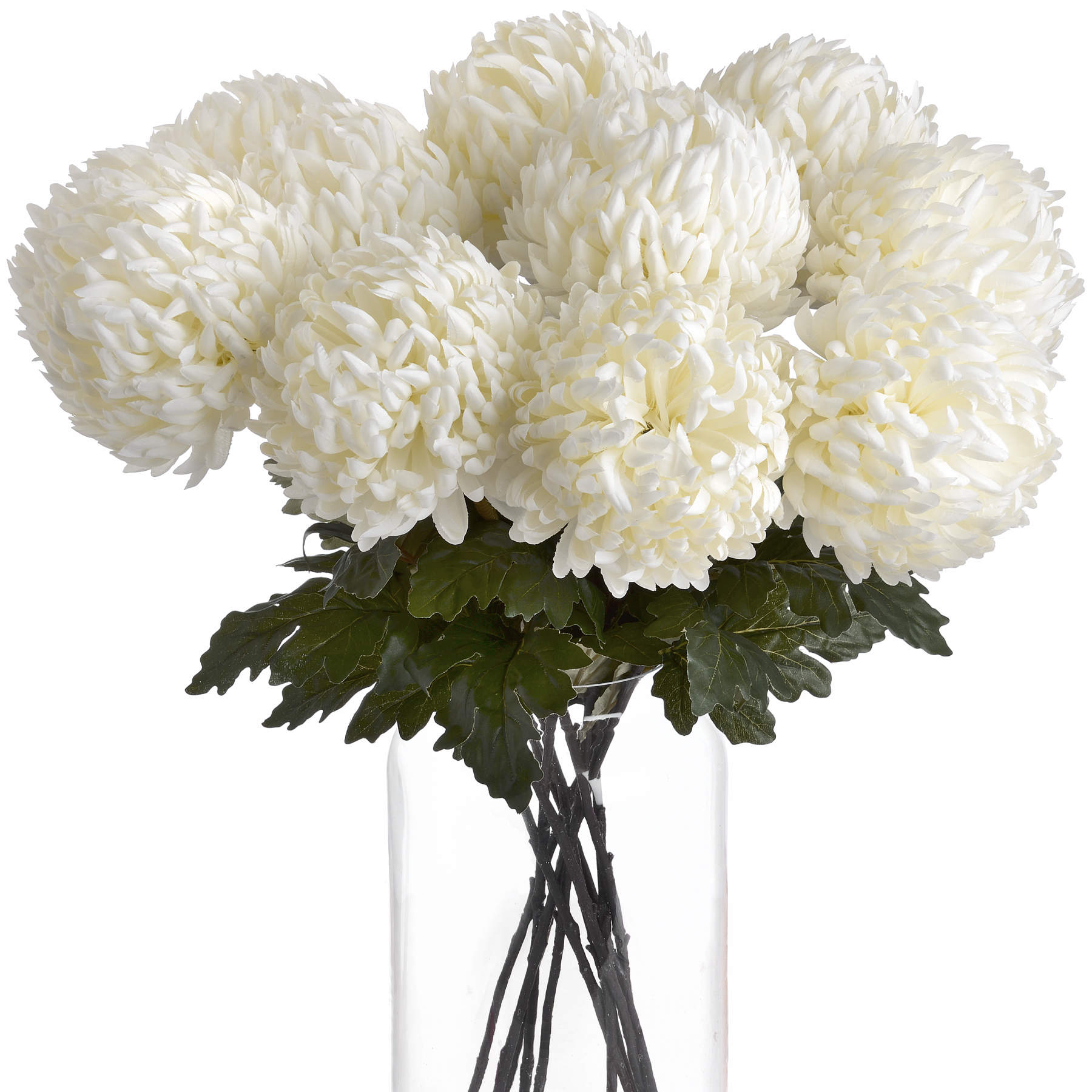 Bouquet of white flowers in a clear vase on a white background