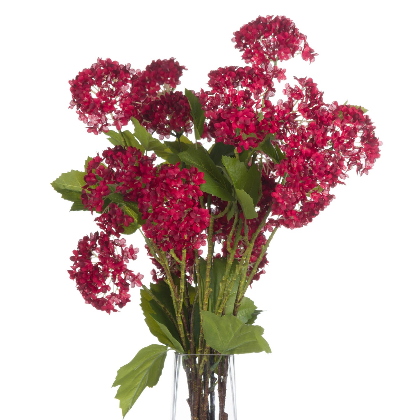Bouquet of red viburnum flowers with green leaves in a clear vase on a white background