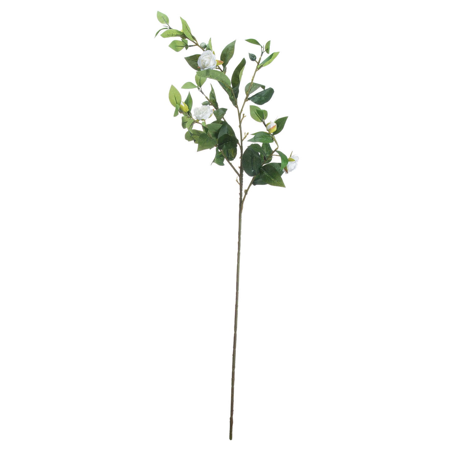 Cream Gardenia Stem image 3